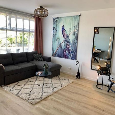 Amsterdam Beach Apartment 76 Zandvoort Dış mekan fotoğraf